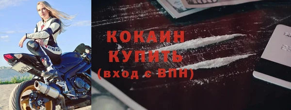 гидра Шадринск