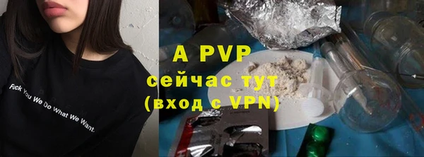гидра Шадринск