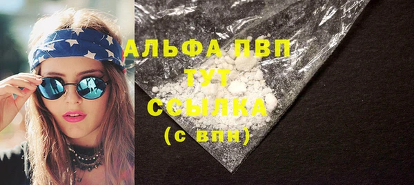 гидра Шадринск