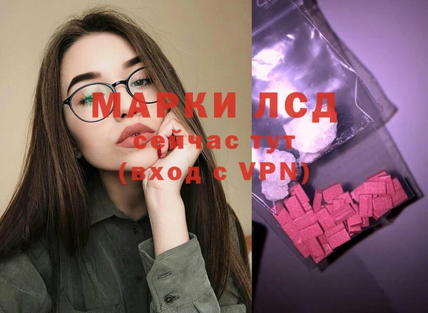 гидра Шадринск