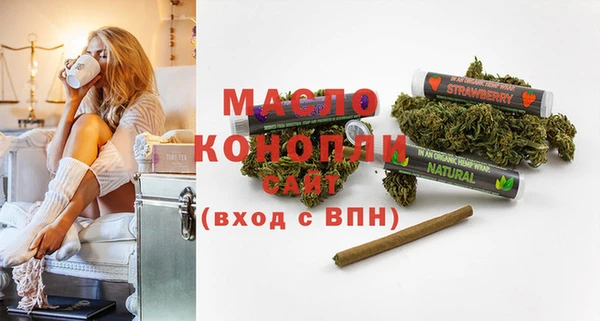 гидра Шадринск