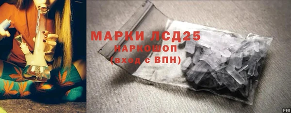 гидра Шадринск