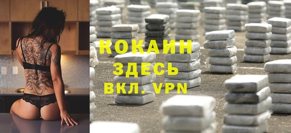 гидра Шадринск