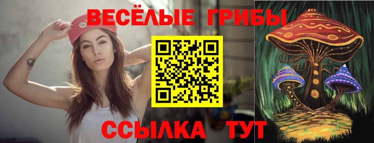 Александров  Галлюциногенные грибы прущие грибы  Вход с VPN 