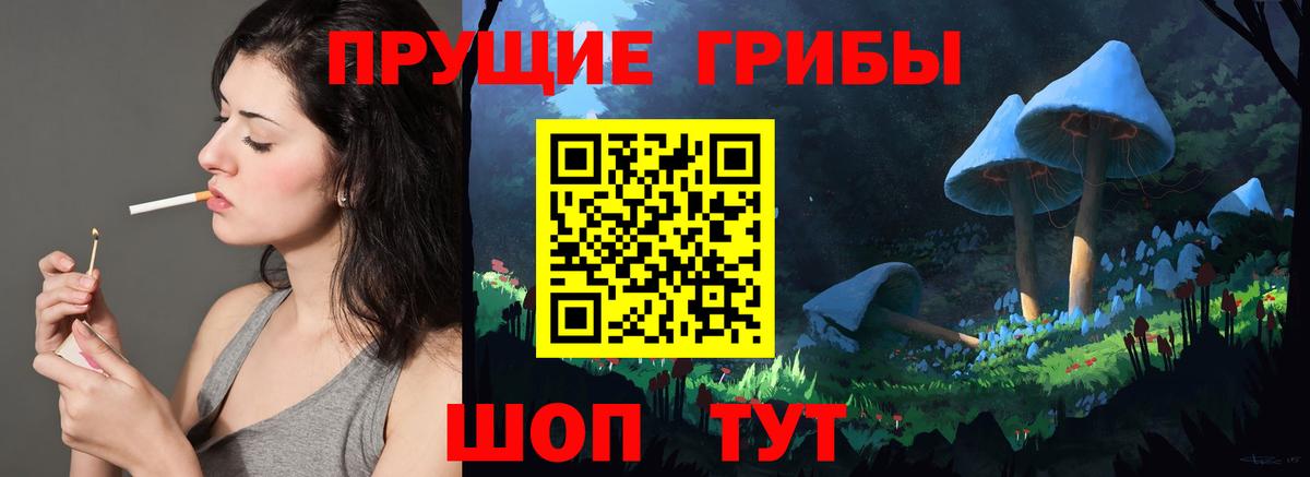 Псилоцибиновые грибы MAGIC MUSHROOMS  Псилоцибиновые грибы Psilocybe  Александров 