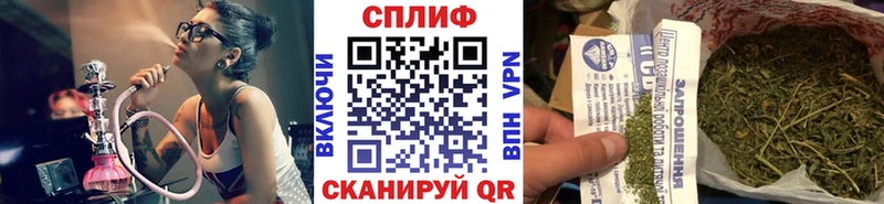 Канабис OG Kush  продажа наркотиков  Александров 